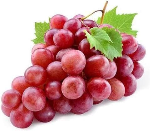 Red Globe Grapes