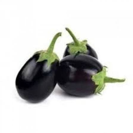 Purple Brinjal (Vankaya)