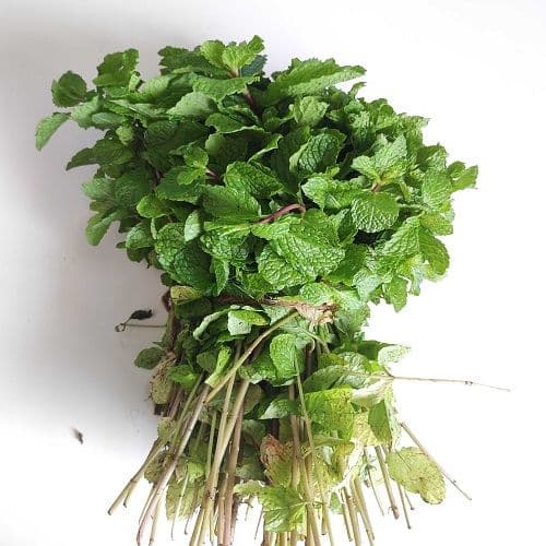 Fresh Mint Leaves (Pudina)