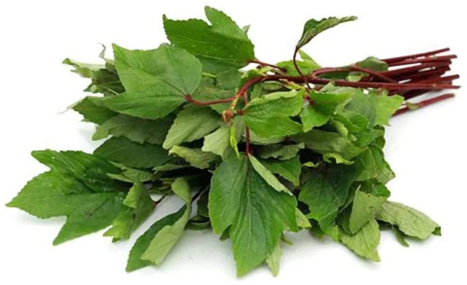Red Sorrel Leaves (Erra Gongura)