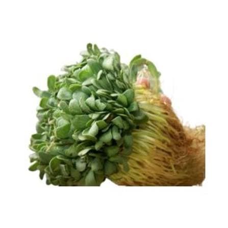 Small Fenugreek (Chinna Menthi)
